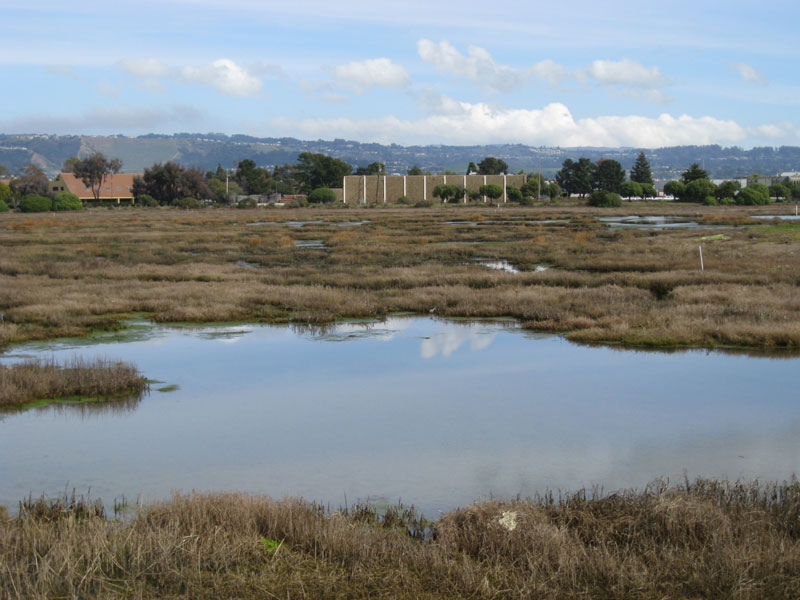 A 2009 view of the same land fill site photographed by Bob Walker.  View is to the east after a winter rain.  The site is now part of Martin Luther King Jr. Regional Shoreline.