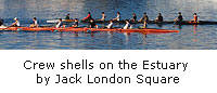 Crew shells on the Estuary