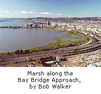 Bob Walker photograph