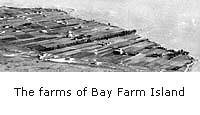 The farms of Bay Farm Island
