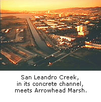 San Leandro Creek