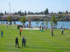 People active on the park lawn